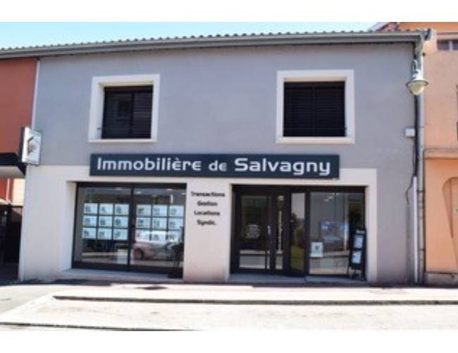 la tour de salvagny immo